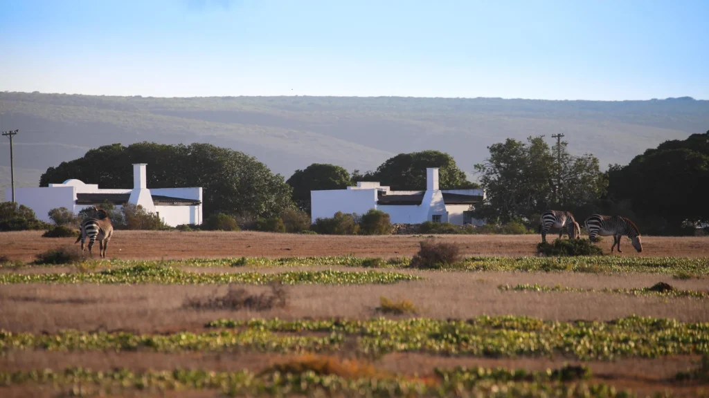 De Hoop Cottages