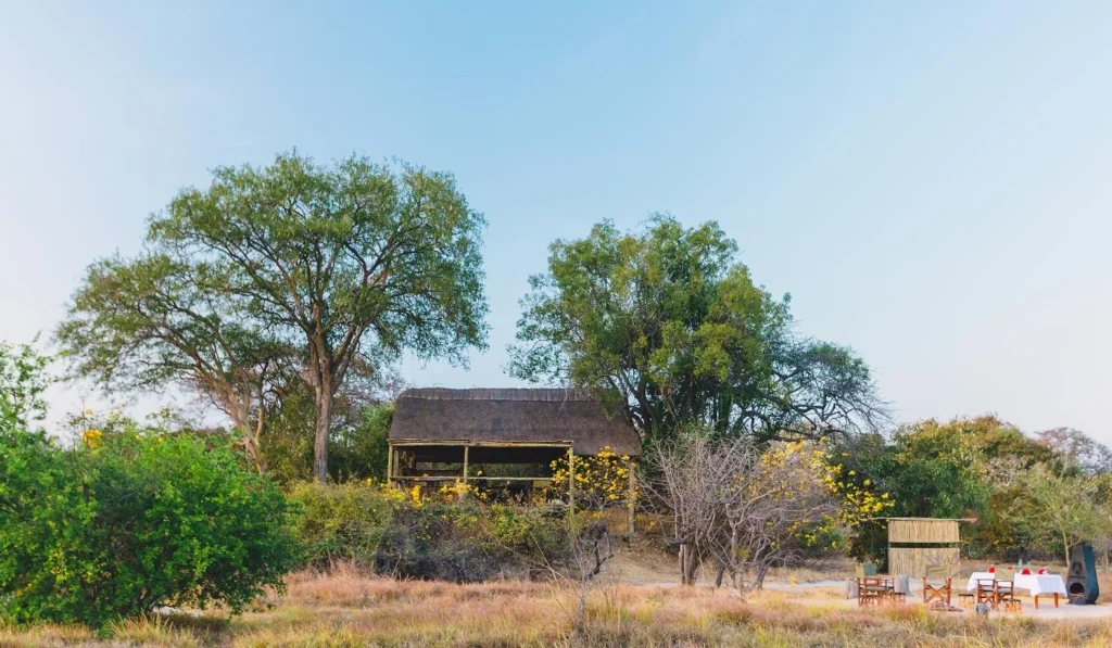 Ntemwa Busanga Camp