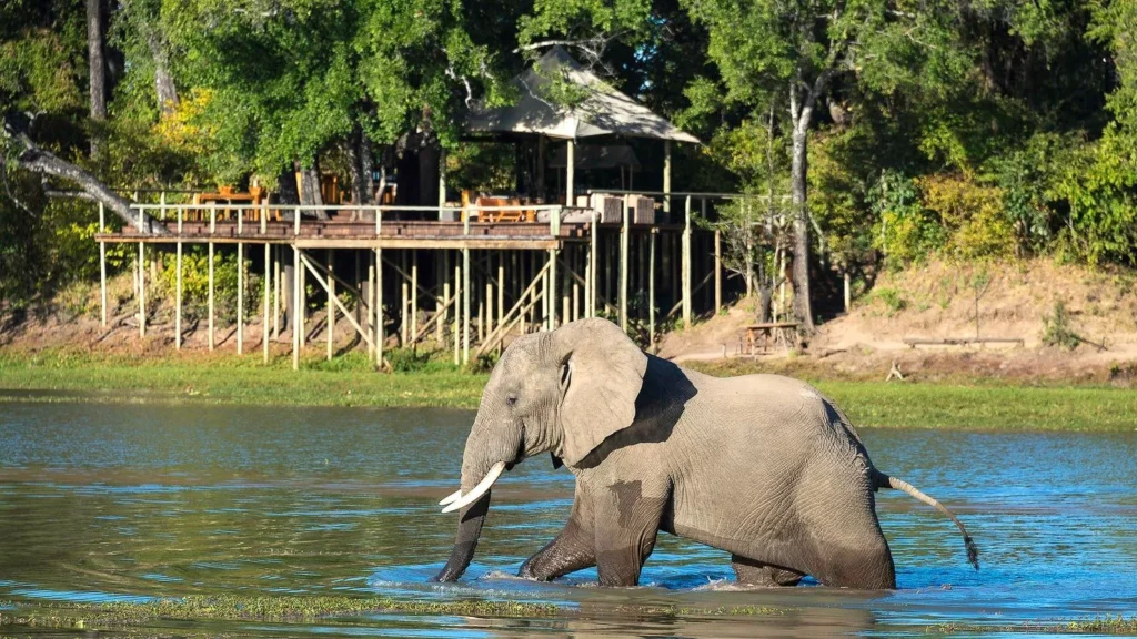Chindeni Bushcamp