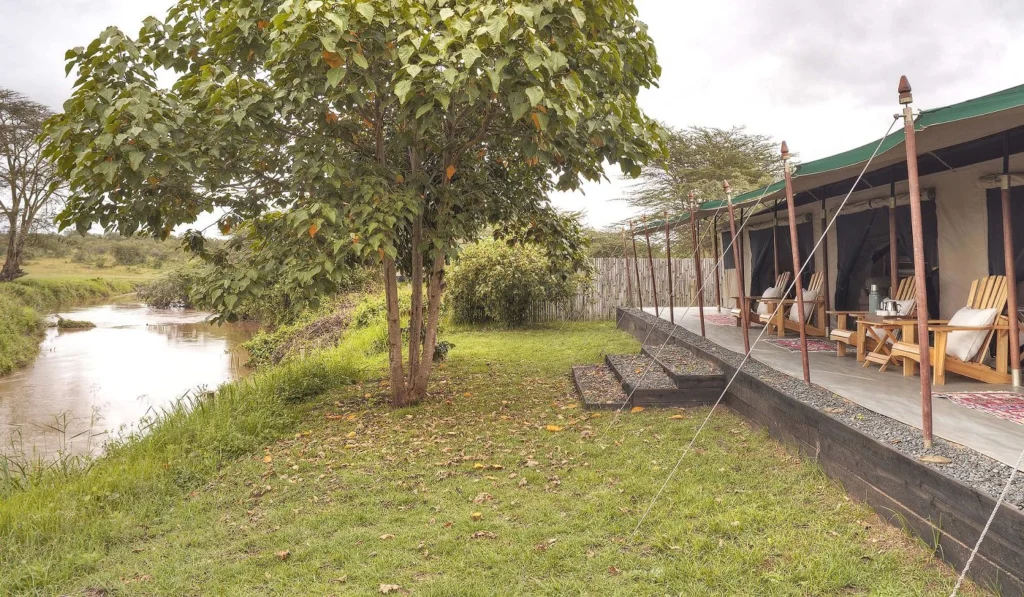 Ol Pejeta Bush Camp