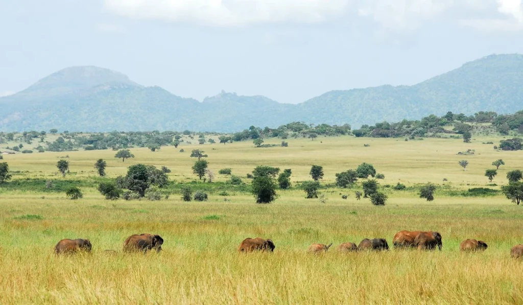 Kidepo Valley