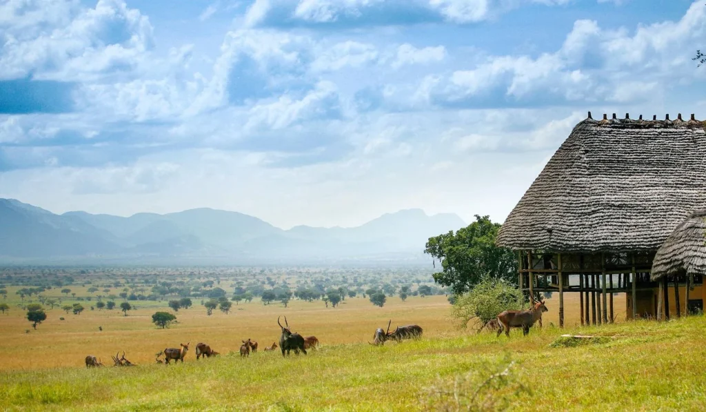 Apoka Lodge