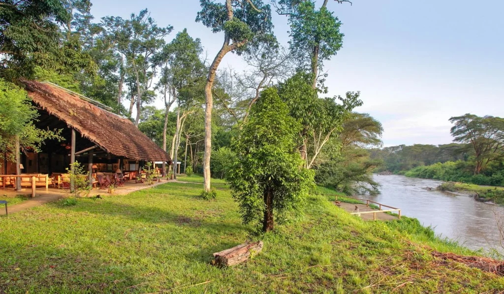 Ishasha Wilderness Camp