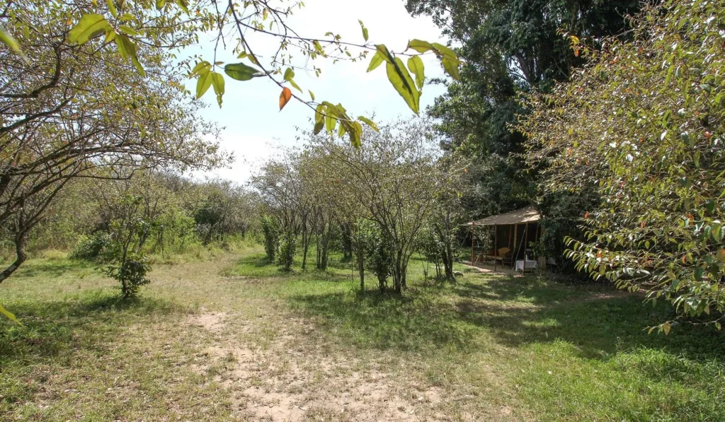 Naibor Wilderness