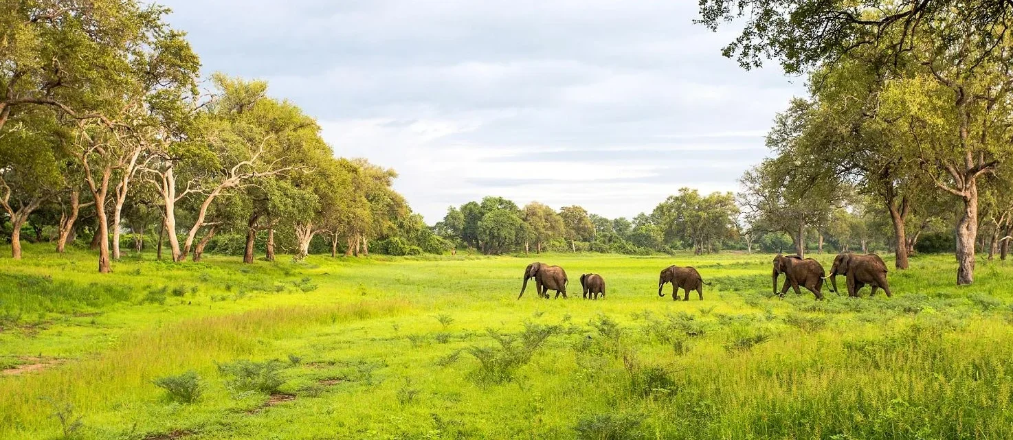 restructuring our business to put conservation front and centre