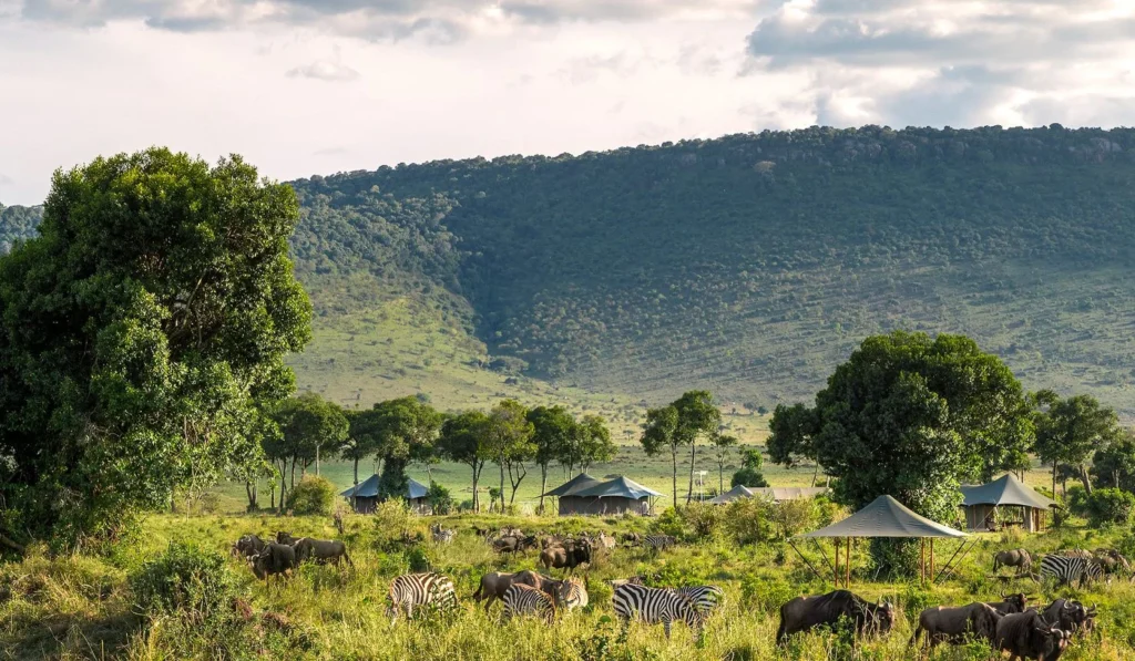 Angama Safari Camp