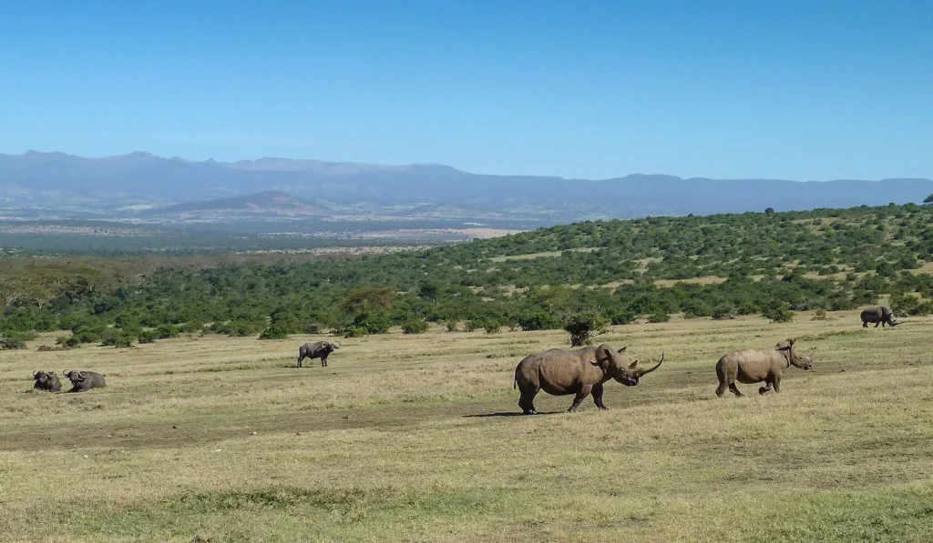 Laikipia South