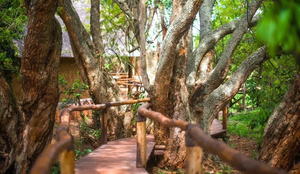 Ruzizi Tented Lodge