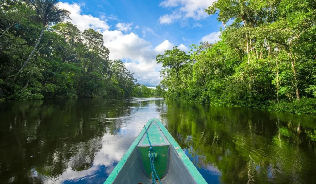 Manaus Amazon