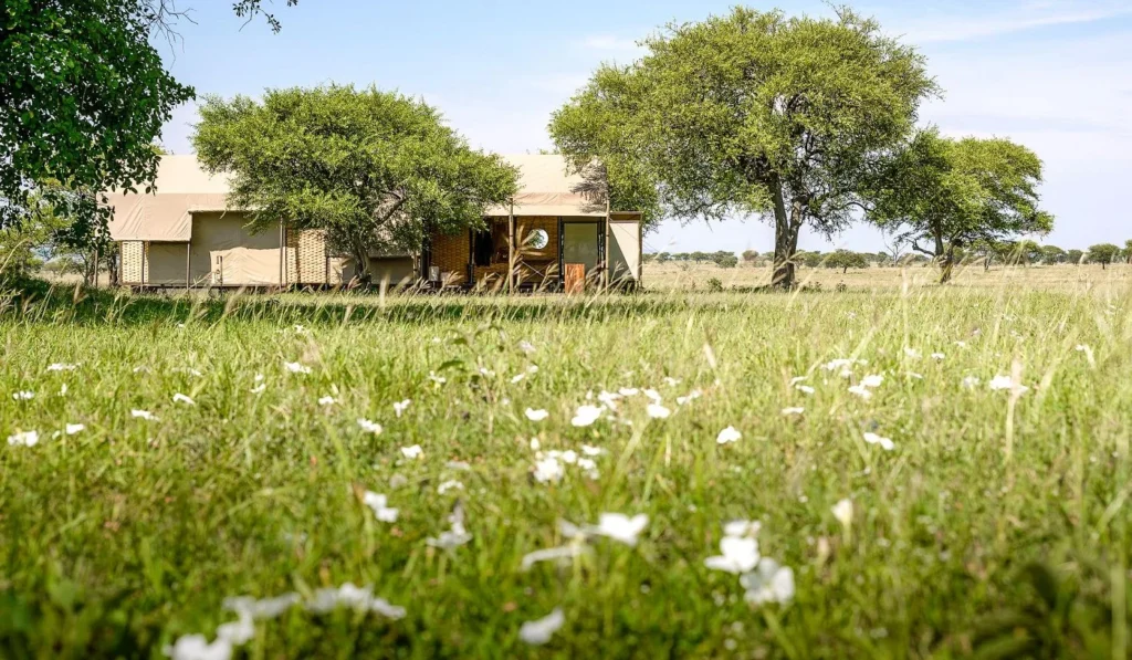 Singita Sabora Camp