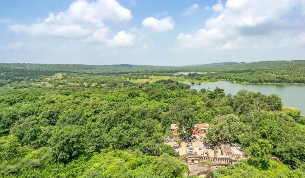 Ranthambore