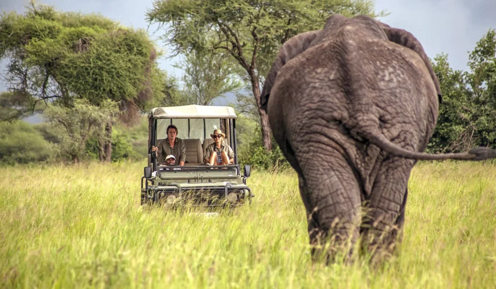 Tarangire
