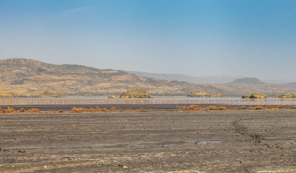 Lake Natron