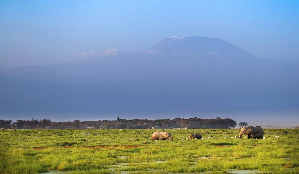 Amboseli