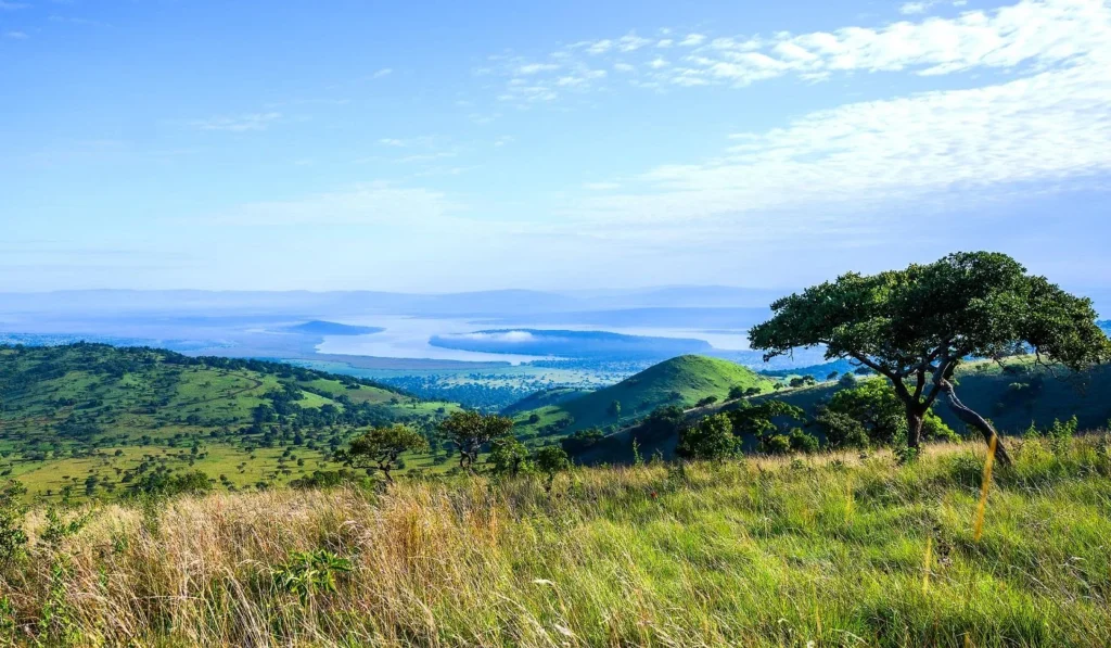 Akagera