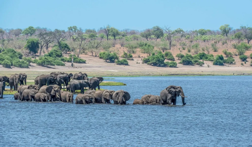 Caprivi Eastern Tip