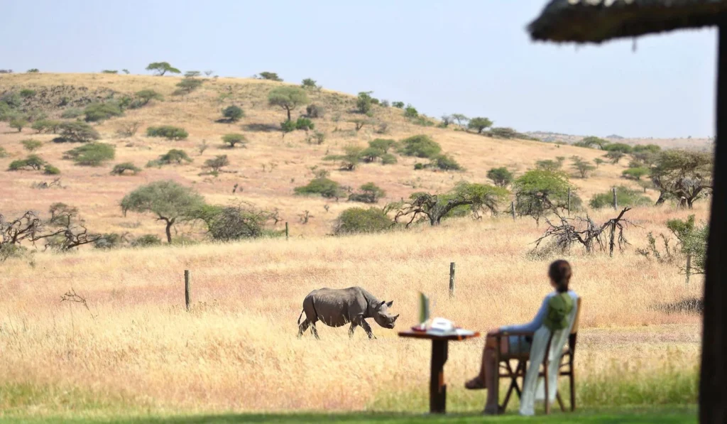 Lewa Kifaru House