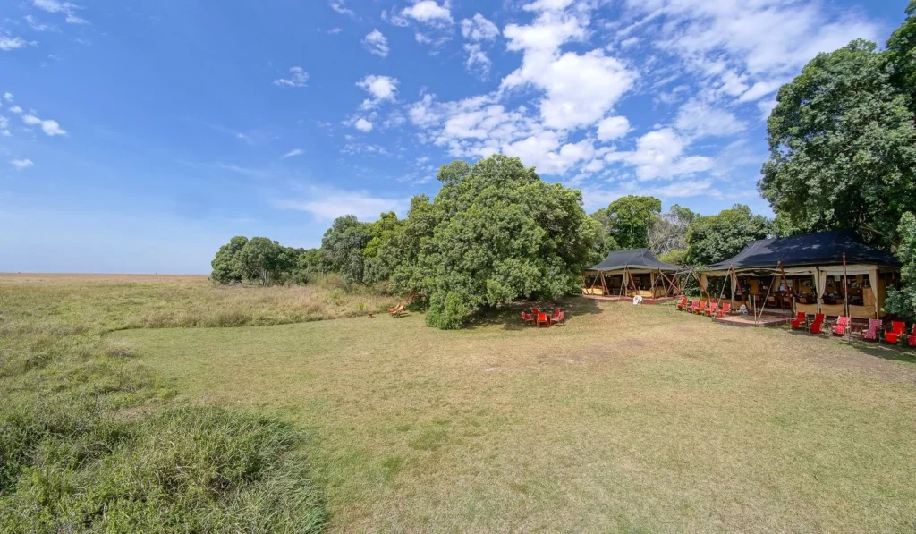 Elephant Pepper Camp