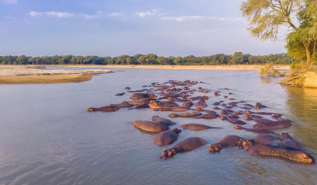 North Luangwa