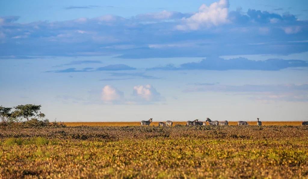 Liuwa Plain