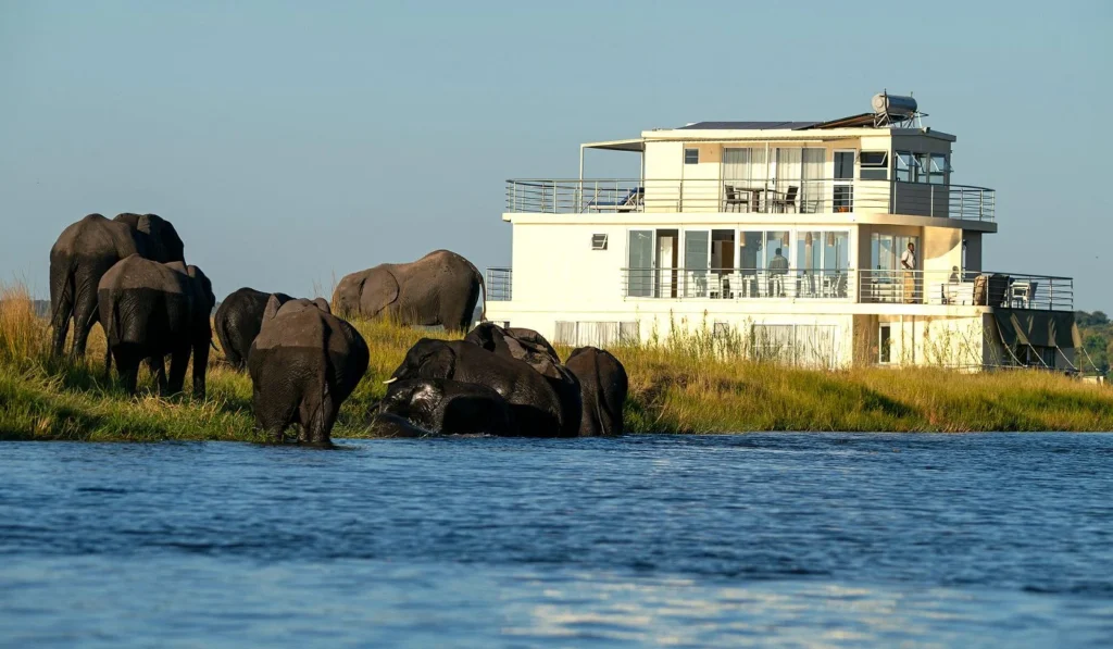 Chobe Princesses