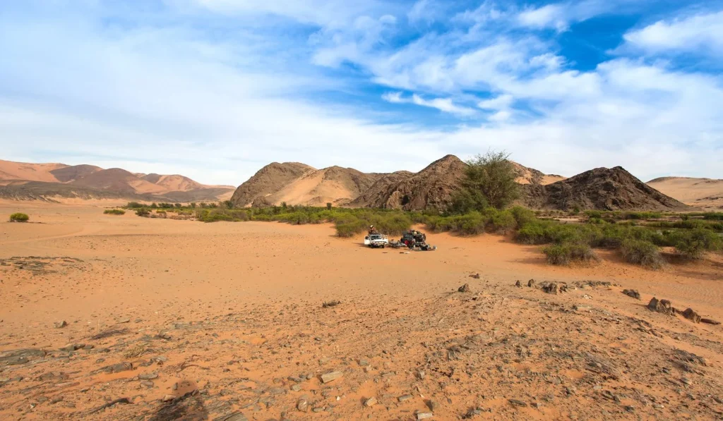 Cafema Bivouac