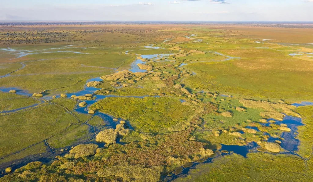 Bangweulu