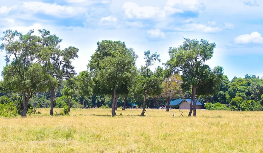 Governors Camp