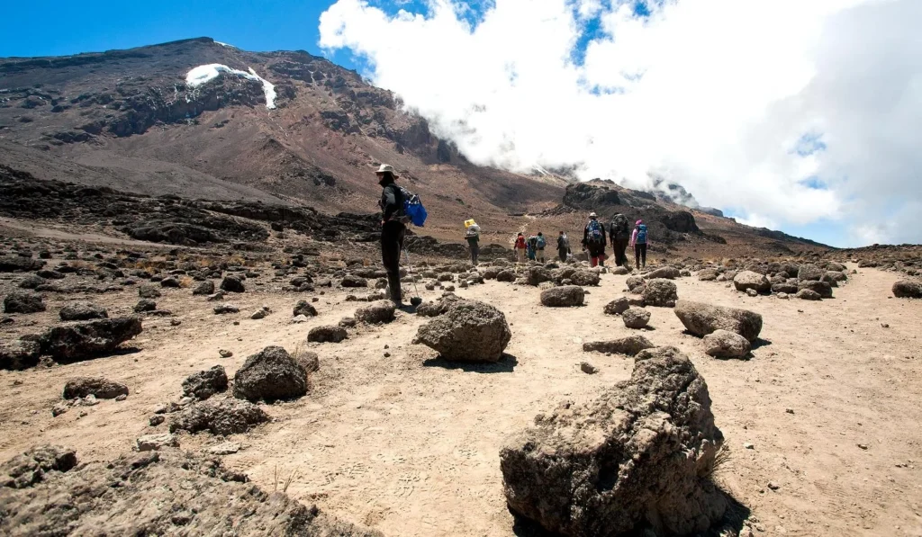 Kilimanjaro Lemosho 8