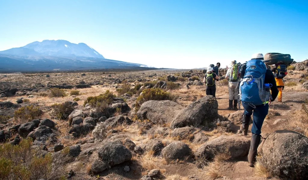 Kilimanjaro Shira 7