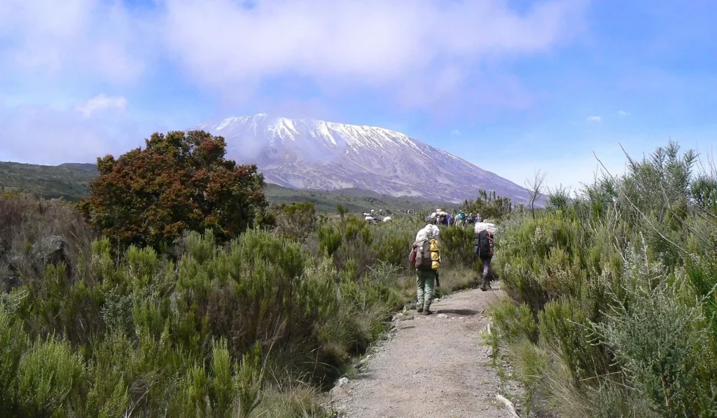 Kilimanjaro Rongai 5