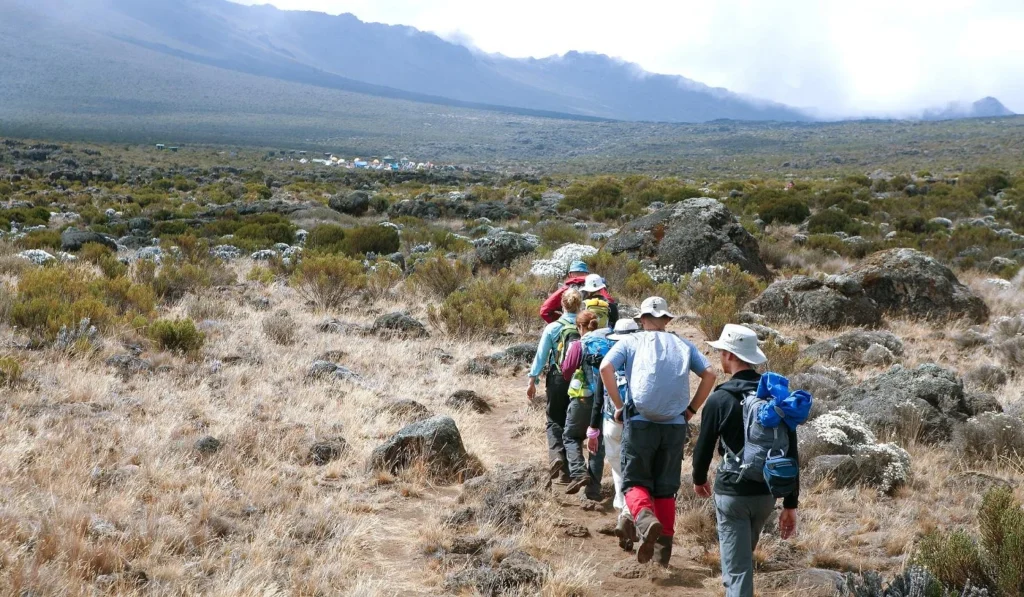 Kilimanjaro Lemosho 7