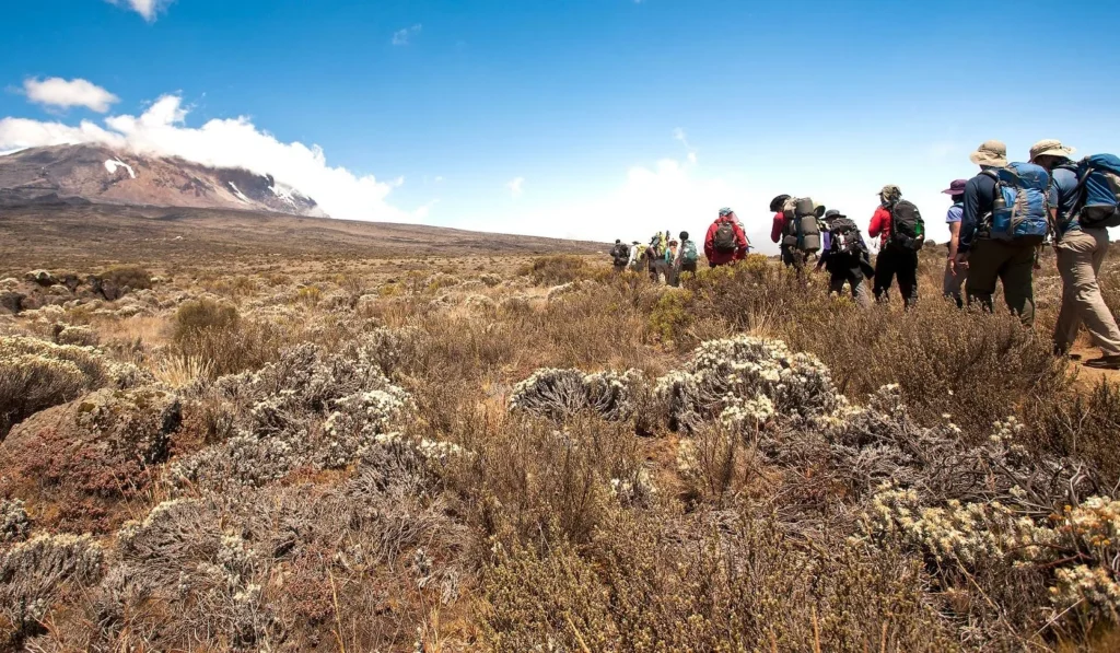 Kilimanjaro North 8