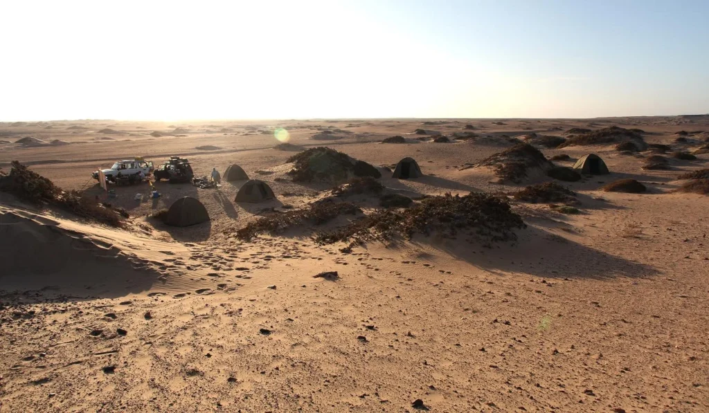 Sarusas Bivouac