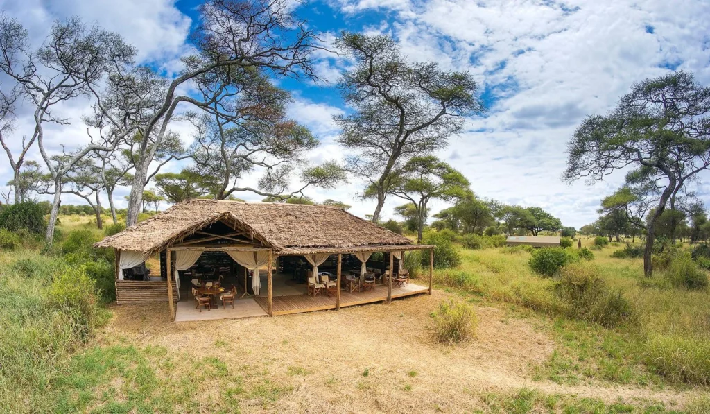 Nomad Kuro Tarangire