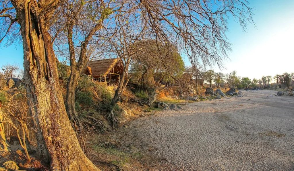Mwagusi Camp