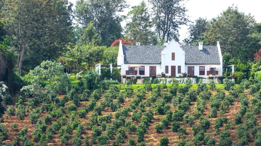 The Manor Ngorongoro