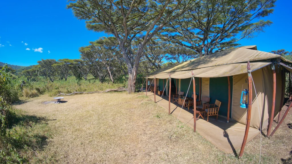 Lemala Ngorongoro