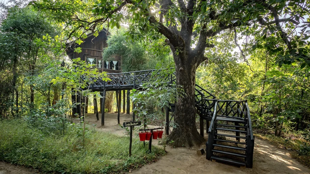 Tree House Hideaway