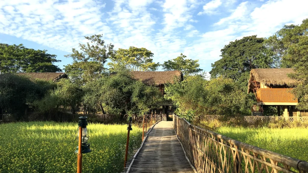 Diphlu River Lodge
