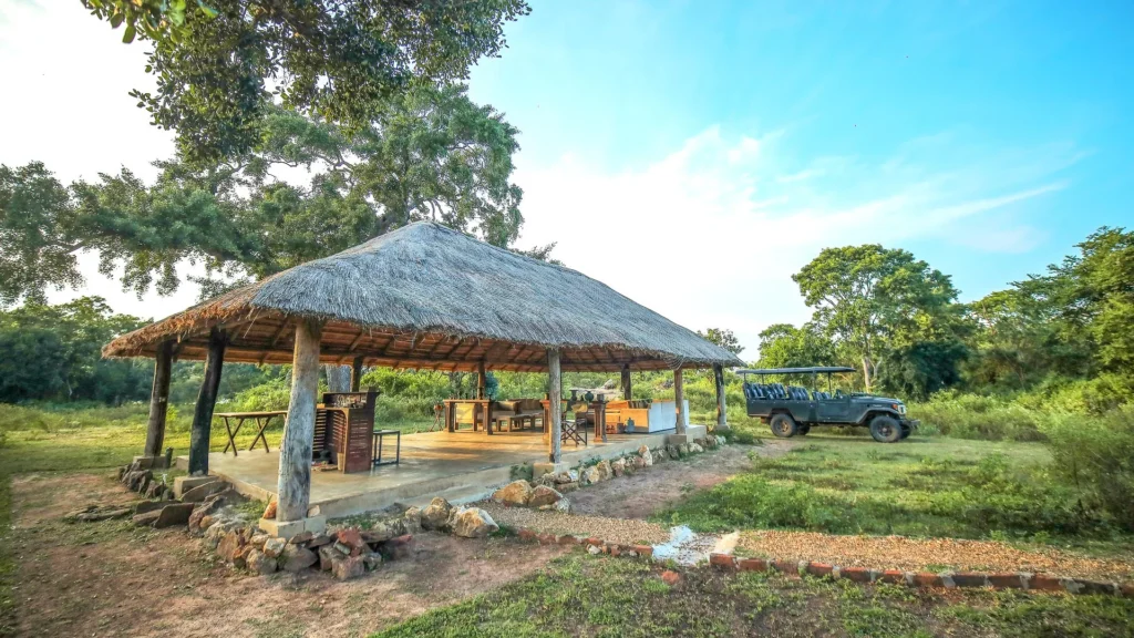 Ceylon Wild Safaris