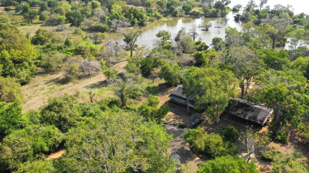 Leopard Trails Yala