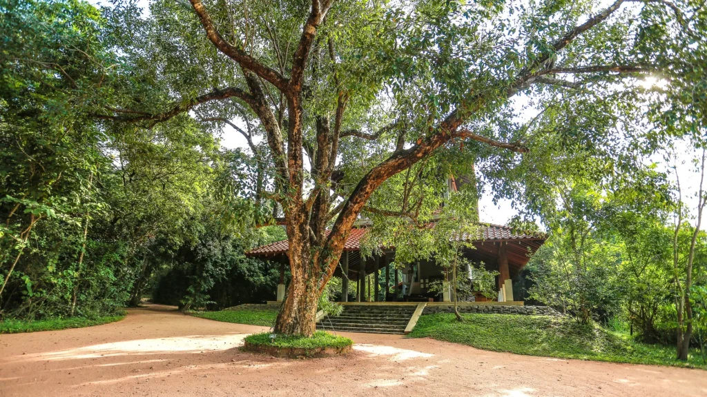 Wild Grass Resort