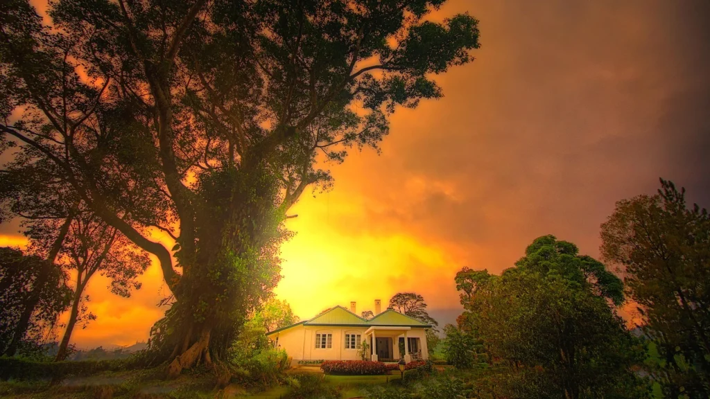 Mandira Dickoya Bungalow