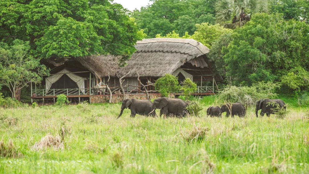 Katavi Wildlife Camp