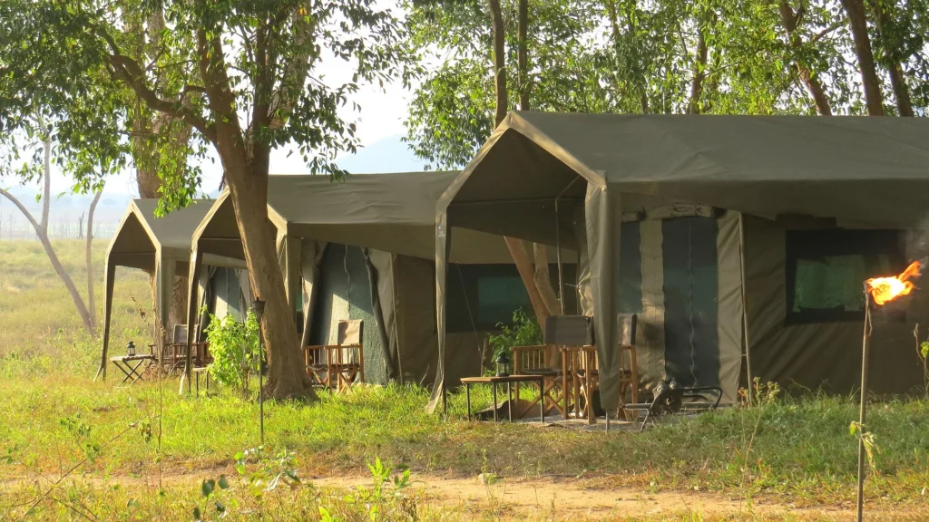Mahoora Gal Oya Camp