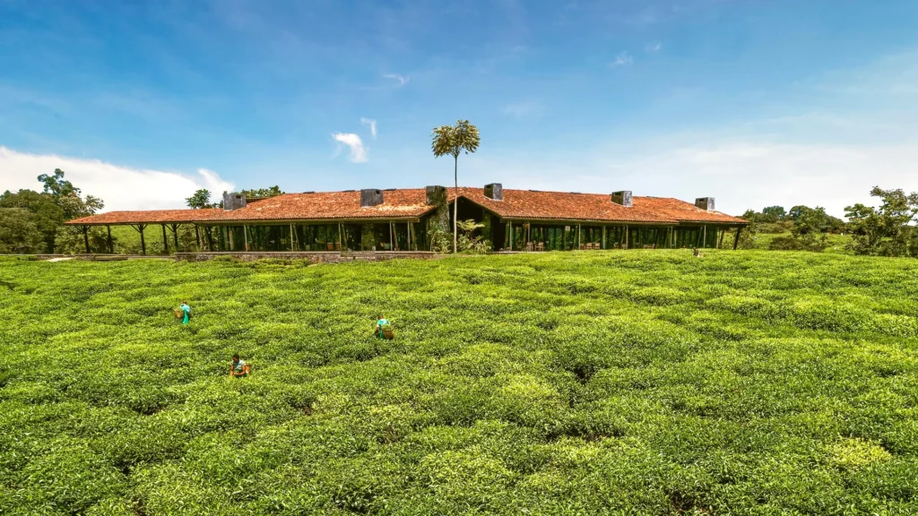 Nyungwe House