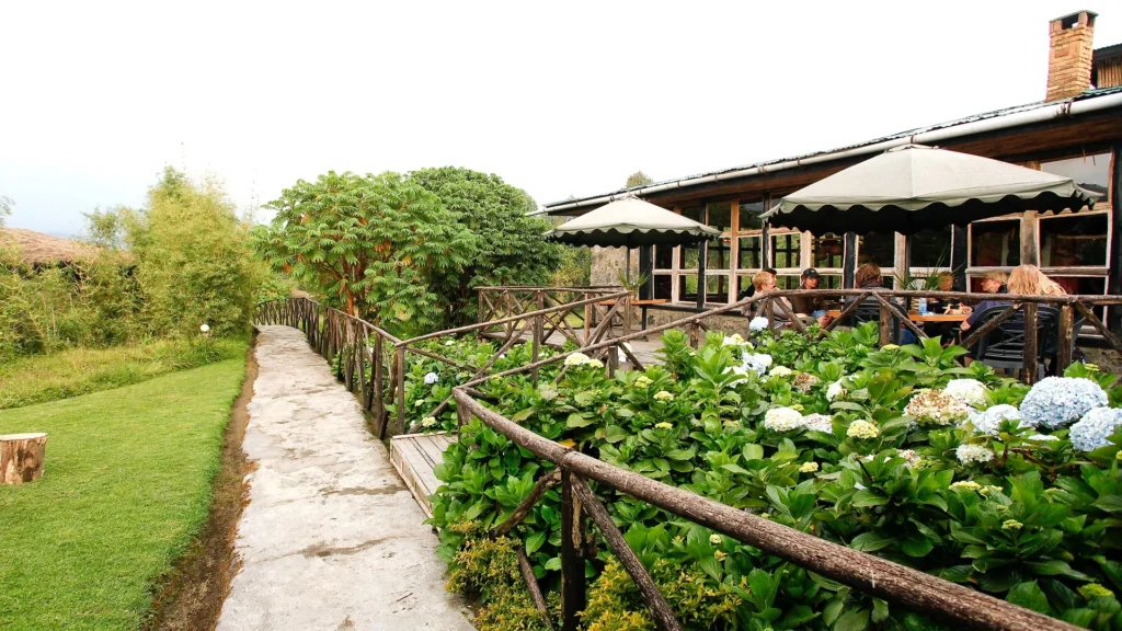 Mountain Gorilla View Lodge