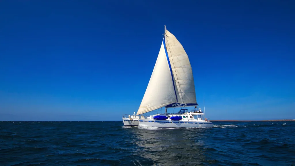 MV Nemo Two 7W