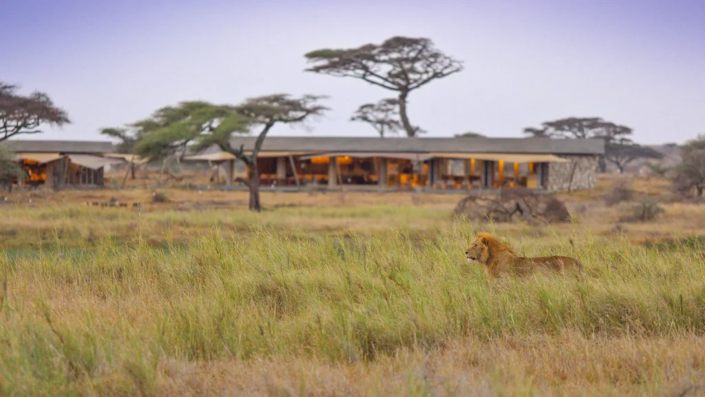 Namiri Plains Camp